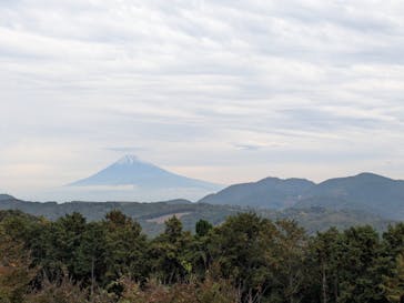 修善寺虹の郷に投稿された画像（2025/11/30）