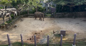 沖縄こどもの国に投稿された画像（2025/11/30）