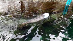 箱根園水族館に投稿された画像（2025/11/30）