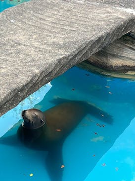 名古屋市東山動植物園に投稿された画像（2025/11/30）