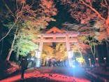 日吉大社雅楽コンサート/Night Gagaku Concert at Hiyoshi Taisha Shrine near Kyotoに投稿された画像（2025/11/30）