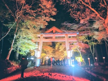 日吉大社雅楽コンサート/Night Gagaku Concert at Hiyoshi Taisha Shrine near Kyotoに投稿された画像（2025/11/30）