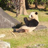恩賜上野動物園に投稿された画像（2025/11/30）