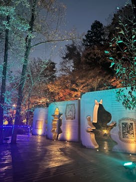 ムーミンバレーパークに投稿された画像（2025/11/30）