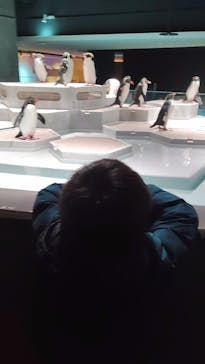 AOAO SAPPOROに投稿された画像（2025/11/30）