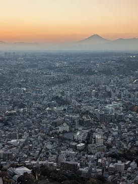 横浜ランドマークタワー 69階展望フロア スカイガーデンに投稿された画像（2025/11/30）