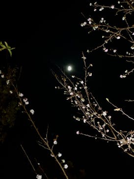 名古屋市東山動植物園に投稿された画像（2025/11/30）