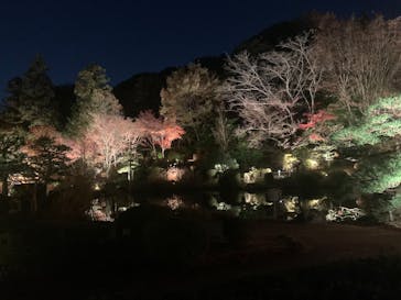 名古屋市東山動植物園に投稿された画像（2025/11/30）