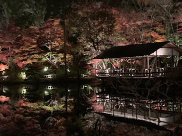 名古屋市東山動植物園に投稿された画像（2025/11/30）