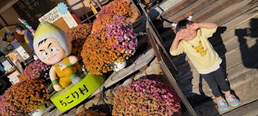 ちこり村に投稿された画像（2025/11/30）