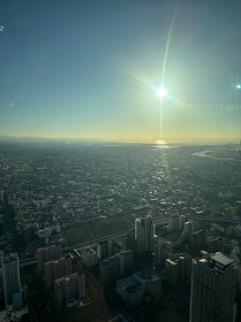 ハルカス300(展望台)に投稿された画像（2025/11/30）