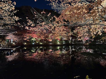 名古屋市東山動植物園に投稿された画像（2025/11/30）