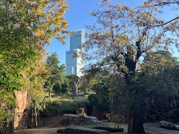 天王寺動物園に投稿された画像（2025/11/30）