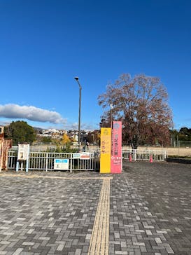 万博記念公園に投稿された画像（2025/11/30）