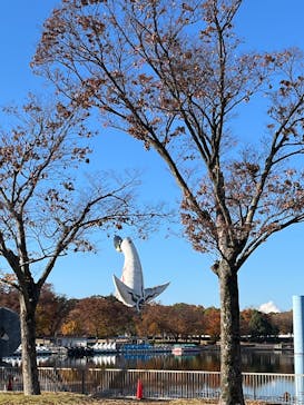 万博記念公園に投稿された画像（2025/11/30）