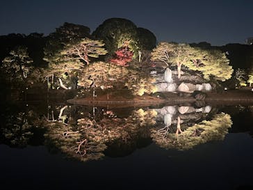 六義園に投稿された画像（2025/11/30）