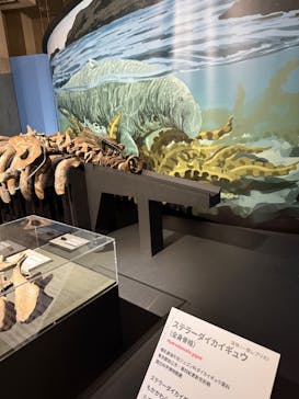 特別展「大絶滅展―生命史のビッグファイブ」に投稿された画像（2025/11/30）