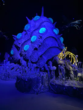 金曜ロードショーとジブリ展（静岡展）に投稿された画像（2025/11/30）