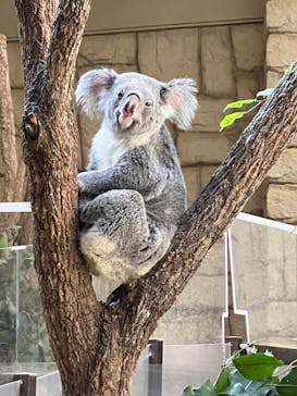 名古屋市東山動植物園に投稿された画像（2025/11/30）