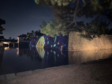 NAKED meets 二条城 2025 観月に投稿された画像（2025/11/30）