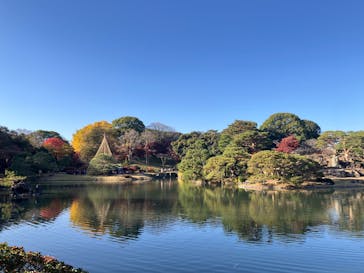 六義園に投稿された画像（2025/11/30）