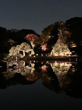 六義園に投稿された画像（2025/11/30）