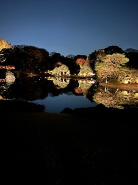 六義園に投稿された画像（2025/11/30）