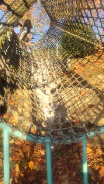 ひらかたパークに投稿された画像（2025/11/30）