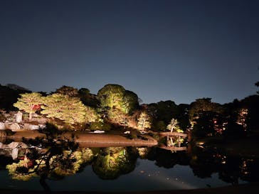 六義園に投稿された画像（2025/11/30）