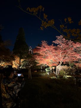 名古屋市東山動植物園に投稿された画像（2025/11/30）