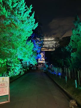 ZEN NIGHT WALK KAMAKURAに投稿された画像（2025/11/30）