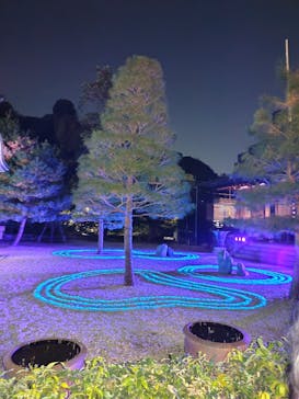 ZEN NIGHT WALK KAMAKURAに投稿された画像（2025/11/30）