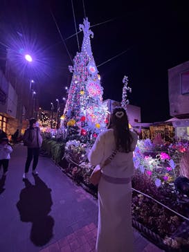 ひらかたパークに投稿された画像（2025/11/30）