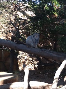 那須どうぶつ王国に投稿された画像（2025/11/30）