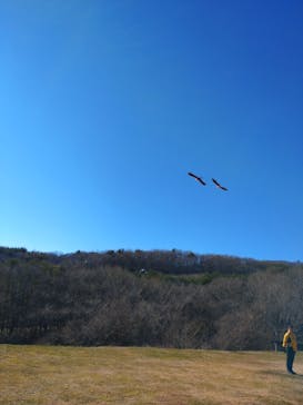 那須どうぶつ王国に投稿された画像（2025/11/30）