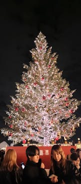 Christmas Market in 横浜赤レンガ倉庫 2025に投稿された画像（2025/11/30）