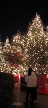 Christmas Market in 横浜赤レンガ倉庫 2025に投稿された画像（2025/11/30）