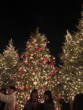 Christmas Market in 横浜赤レンガ倉庫 2025に投稿された画像（2025/11/30）