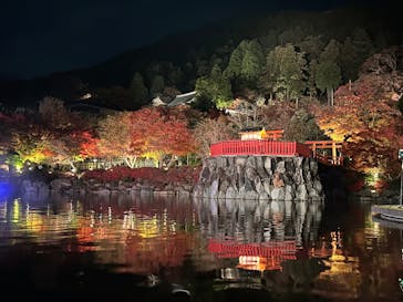 勝尾寺に投稿された画像（2025/11/30）