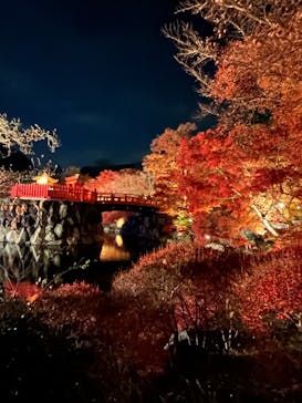 勝尾寺に投稿された画像（2025/11/30）