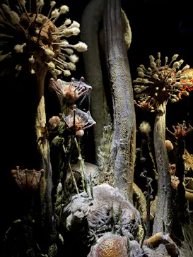 金曜ロードショーとジブリ展（静岡展）に投稿された画像（2025/11/30）