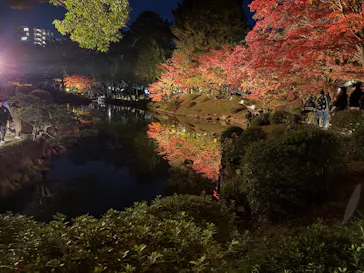 広島県縮景園に投稿された画像（2025/11/30）
