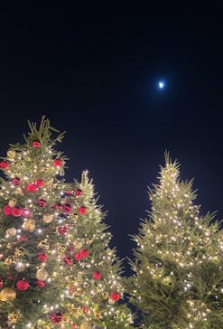 Christmas Market in 横浜赤レンガ倉庫 2025に投稿された画像（2025/11/30）