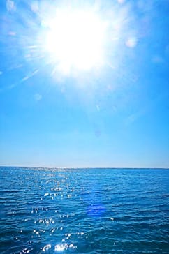 Okinawan supに投稿された画像（2025/11/30）