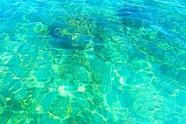 Okinawan supに投稿された画像（2025/11/30）