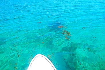 Okinawan supに投稿された画像（2025/11/30）