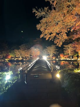 国営昭和記念公園 秋の夜散歩に投稿された画像（2025/11/30）
