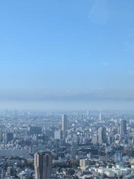 東京タワーに投稿された画像（2025/11/30）