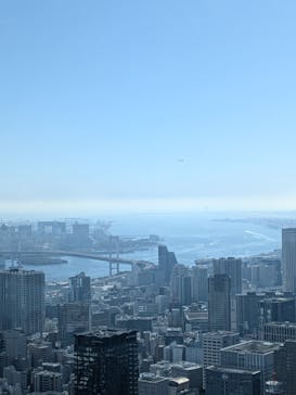 東京タワーに投稿された画像（2025/11/30）