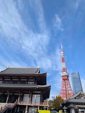 東京タワーに投稿された画像（2025/11/30）